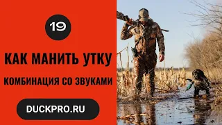 19. Как манить утку  Охота с Фрэдом Зинком. Комбинация со звуками. Русская озвучка.