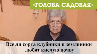 Голова садовая - Все ли сорта клубники и земляники любят кислую почву