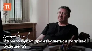 Биотопливо из цианобактерий — Дмитрий Лось