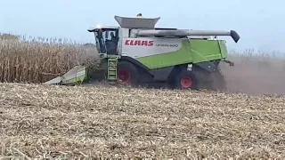 Комбайн Claas Lexion 600 №1928