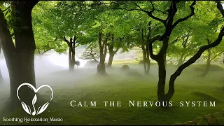 Healing music for the heart, blood vessels and nervous system