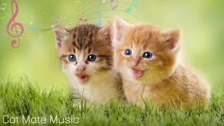 Music that calms anxious cats, music that calms cats - stress relief music