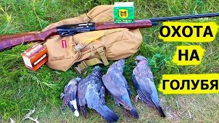 Охота на иберийских голубей. Охота (Охотник и рыболов)
