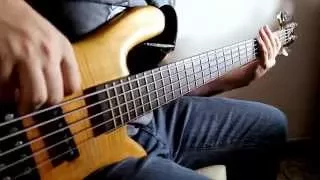 Byelomorye DAM - 007 Goldeneye Guitar Cover