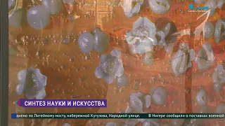 Уличная выставка «Наука — это красиво»