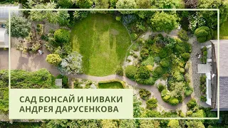 Сад бонсай и ниваки Андрея Дарусенкова