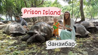 Prison Island. Остров черепах. Занзибар остров Призон.