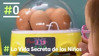 La Vida Secreta de los Niños: El misterio de los huevos | #0