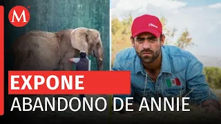 Activistas mexicanos denuncian abandono de elefanta Annie en Jalisco