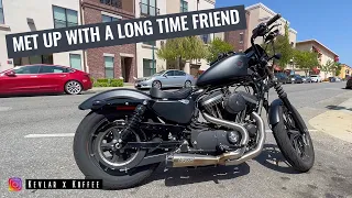 Lets Ride and Keep Our Spirits High | Harley Davidson Iron 883