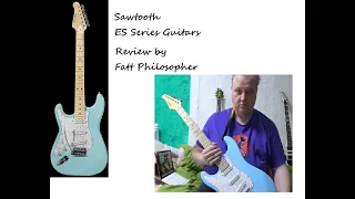 Sawtooth Guitars ES Series Review