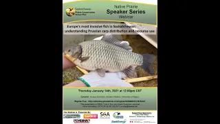 Europe's most invasive fish in Saskatchewan: understanding Prussian carp distribution & resource use