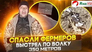 Спасли фермеров от волков! Охота в Дагестане с Магомедом и Али 2023