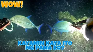 EP 79: NIGHT SPEARFISHING PHILIPPINES | KAYANIN KAYA NG PANA KO ANG LAKI NG ISDANG ITO? | SISIDBIRI