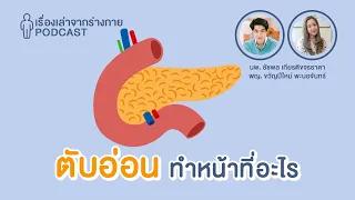 รู้หรือไม่ว่าตับอ่อนของคุณทำหน้าที่อะไรบ้าง? : EP.8 เรื่องเล่าจากร่างกาย