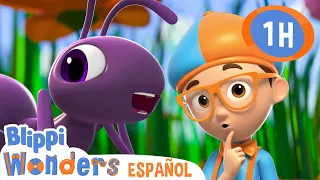 La hormiga amiga de Blippi | Blippi Wonders | Caricaturas para niños | Videos educativos para niños