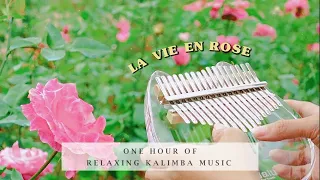 【1 HOUR】 La Vie En Rose Relaxing Kalimba Cover for Sleeping, Studying, Relaxing