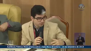 O Galo briga exercendo sua própria destinação Genética.