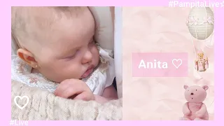 Dulce Anita ♡ #Pampita #MiniPampita 🎀 Amamantar 💗