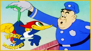 Woody Woodpecker | The Screwball | Old Cartoon | Woody Woodpecker Full Episodes