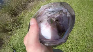 Is this the best underspin on the market?(Big bass)