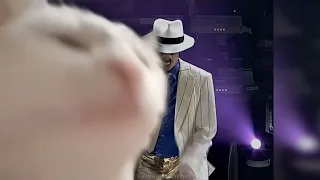 Cat Vibing To Michael Jackson Smooth Criminal