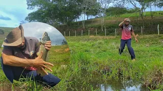 Um córrego cheio de peixes, muita traíra! Desse tamanho é uma surpresa, pescaria!