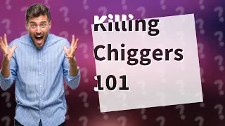 Does anything kill chiggers?