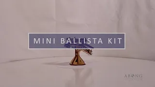 The "how to" series: ABONG Mini Ballista kit build