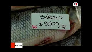 ¿Cuánto vale el pescado en Semana Santa?