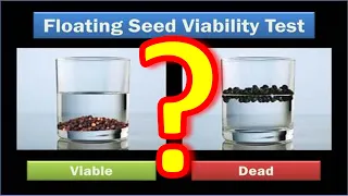 Does the Seed Float Test Work?