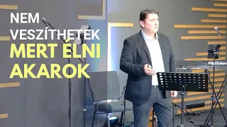 NEM VESZÍTHETEK, MERT ÉLNI AKAROK - NOVÁK ZSOLT