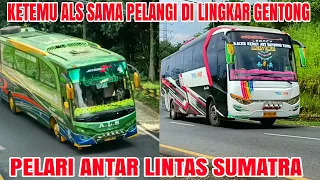 Ketemu Bus ALS Sama PELANGI ❗Momen Langka Ketemu Dua Unit Pelari Sumatra PELANGI vs ALS