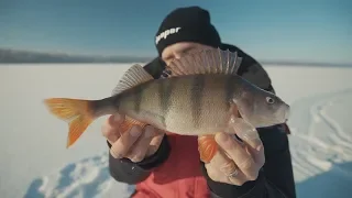 Šiandien kimba 190210 Gero oro ešeriai