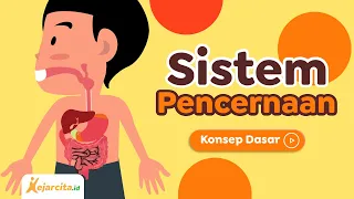 Sistem Pencernaan | IPA SD