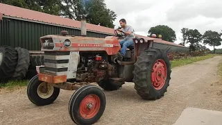 Massey Ferguson MF 1100 @ HappyOldIron Antique tractors in Belgium