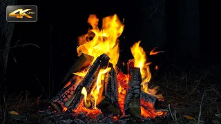 Night Magic Campfire🔥Authentic Crackling of Fire to Deep Sleep