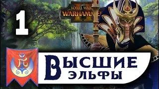 Высшие Эльфы прохождение Total War Warhammer 2 за Теклиса - #1