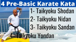learn karate kata 1 2 3 4  for beginners