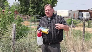 Gardening basics: How to control bindweed in flower beds