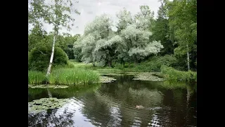 Вишенка. Душевная песня.