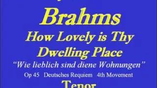 How Lovely-Brahms-Tenor.wmv