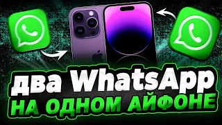 Как создать на Айфон два WhatsApp аккаунта?