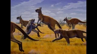 The Beasts Down Under - Australia Documentary