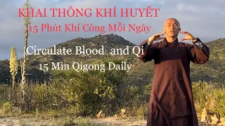 Khai Thông Khí Huyết, Thân Khoẻ - Tâm An | 15 Minute Qigong Daily Routine (Vietnamese)( ENG Sub)