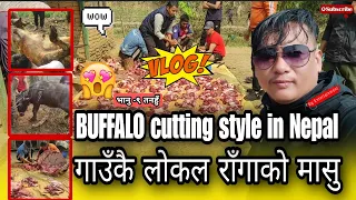 Local Buffalo Meat Cutting Style In Nepal Village 🇳🇵 || भानु -९ तनहुँ || Dg Entertainment || 2079///