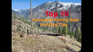 Top 10 Backpack Spring Bear Hunting Tips