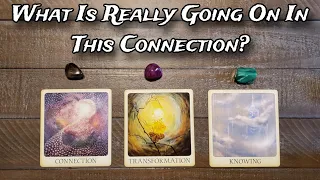 🤯 What Is Really Going On In This Connection? 🤯🔥 Pick A Card Love Reading