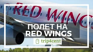 Отзыв о полете Red Wings (Ред Вингс)