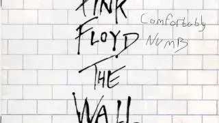 Pink Floyd - Comfortably Numb [800% Slower]